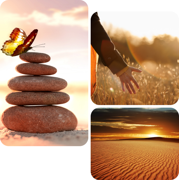 Serene nature collage: stacked stones, butterfly, desert