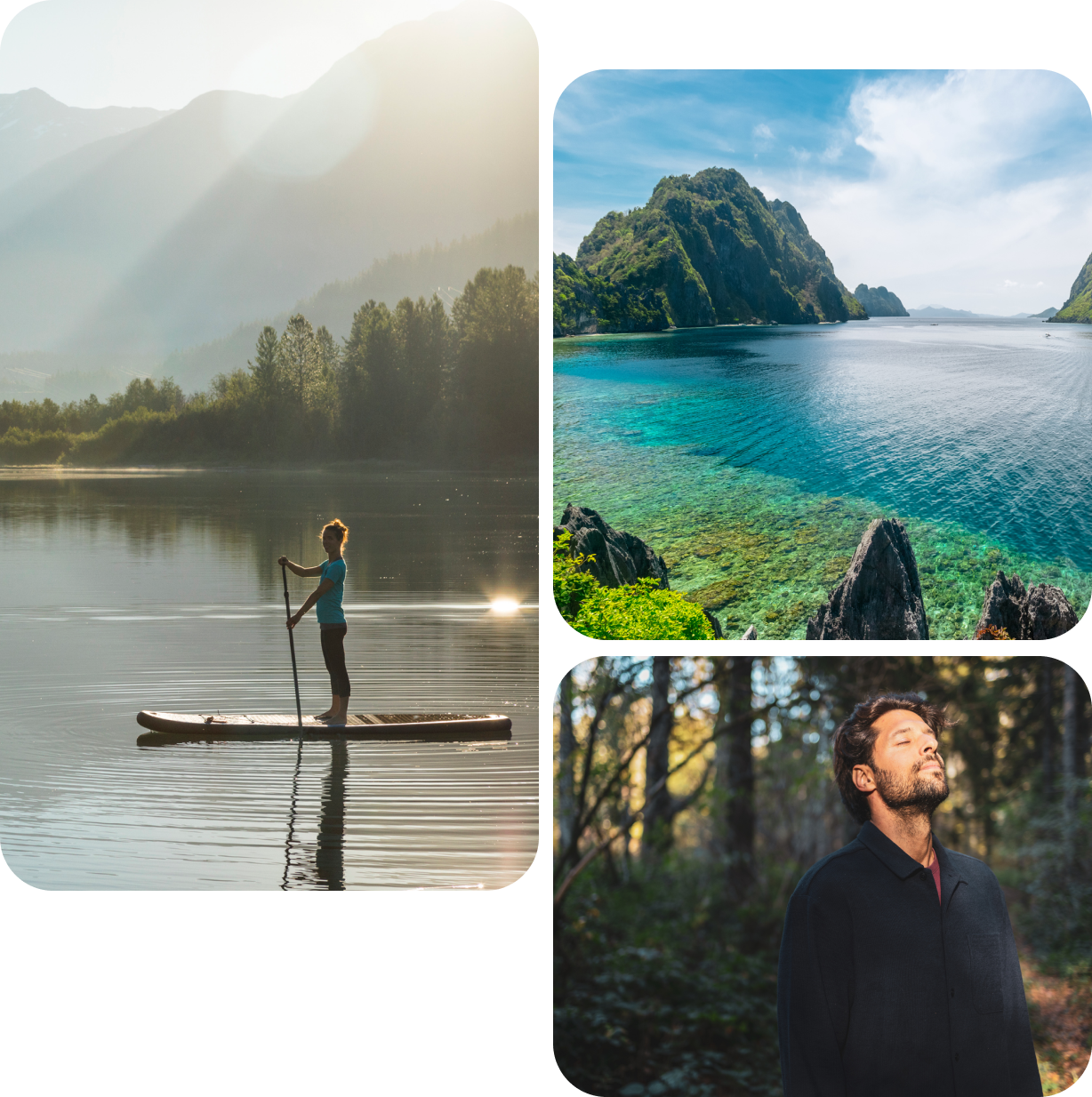 Paddleboarder, turquoise bay, man in forest